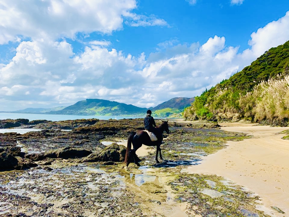 The best places for horse riding in New Zealand Hooves Around the World
